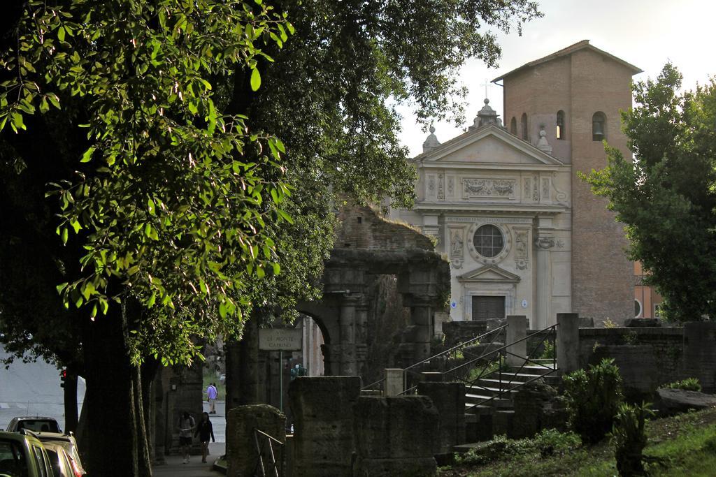 Domenichino Luxury